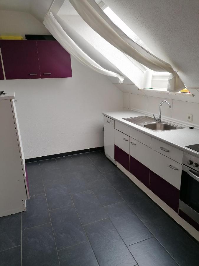 Ferienwohnung Mannes Lauingen Extérieur photo